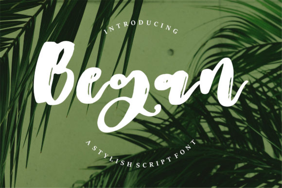 Began: A Sweet & Delicate Paint Brushed Script Font