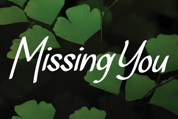 Missing You Script Font for Elegant Editorial Design