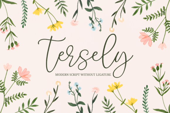 Tersely: A Modern Script Handwritten Font for Real Design Work